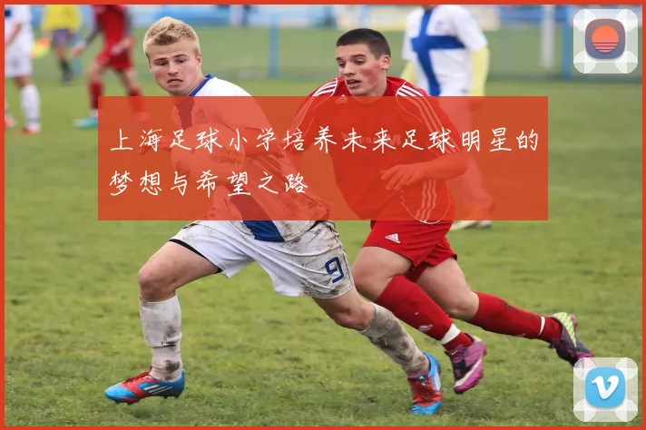 上海足球小学培养未来足球明星的梦想与希望之路