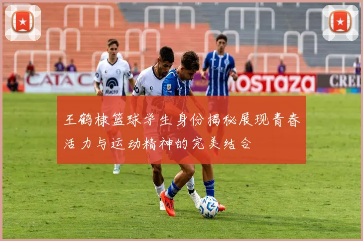 王鹤棣篮球学生身份揭秘展现青春活力与运动精神的完美结合