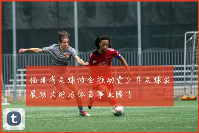 福建省足球协会推动青少年足球发展助力地方体育事业腾飞