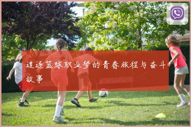 追逐篮球职业梦的青春旅程与奋斗故事