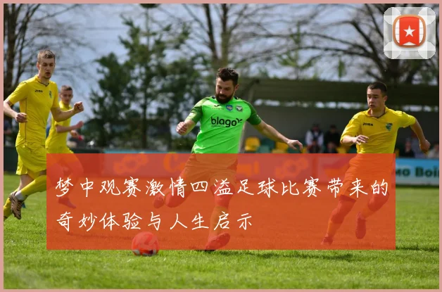 梦中观赛激情四溢足球比赛带来的奇妙体验与人生启示