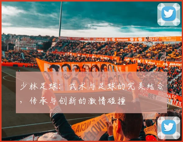 少林足球：武术与足球的完美结合，传承与创新的激情碰撞