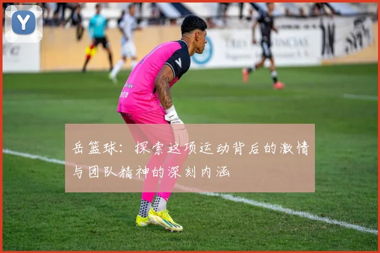 岳篮球：探索这项运动背后的激情与团队精神的深刻内涵